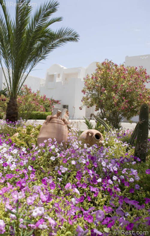 Vincci Djerba Hotel 18
